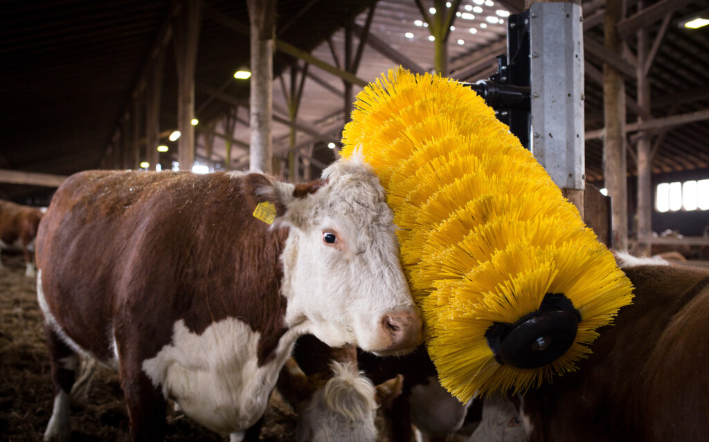 agricultural-brushes
